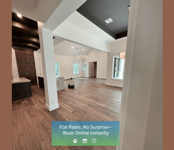 Professional cleaning service